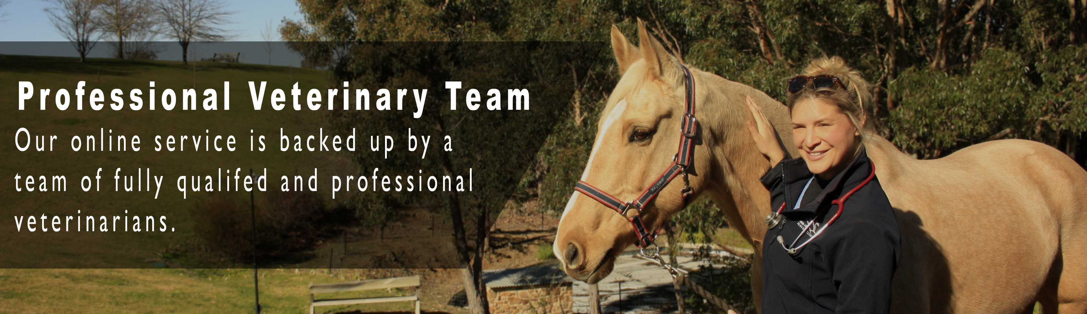 Professional Veterinary Team